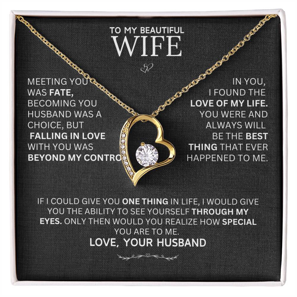 Gift for Wife "Meeting You Was Fate" Necklace