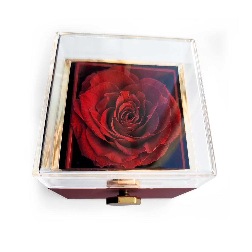 Gift for Wife "I Can't Live Without You" Necklace With Heart Box and Red Rose Surprise