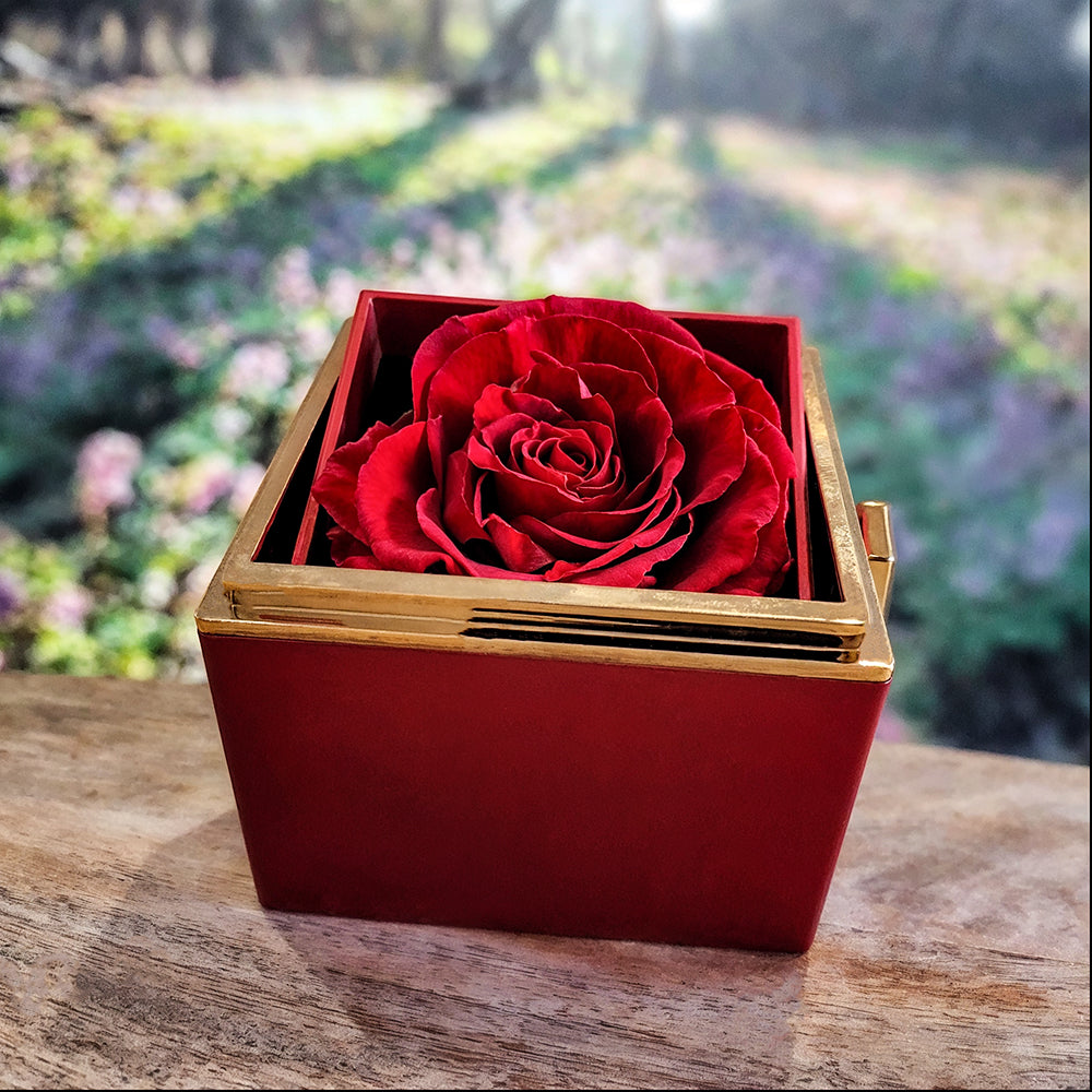 Gift for Wife "I Can't Live Without You" Necklace With Heart Box and Red Rose Surprise