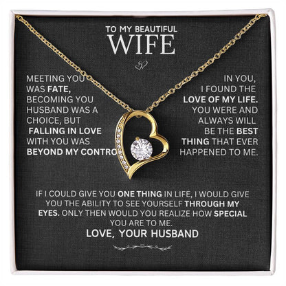 Gift for Wife "Meeting You Was Fate" Necklace